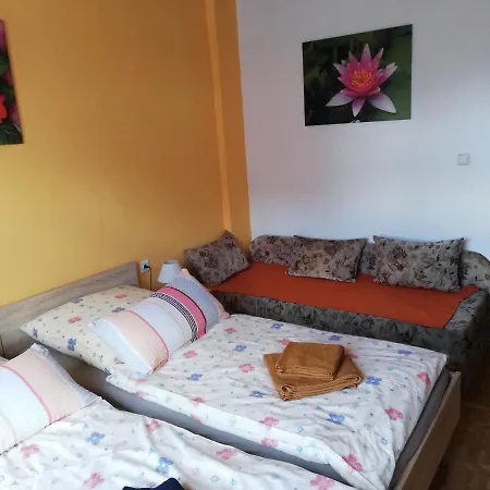 Ferienwohnung Bradsch Ilmenau Exterior foto