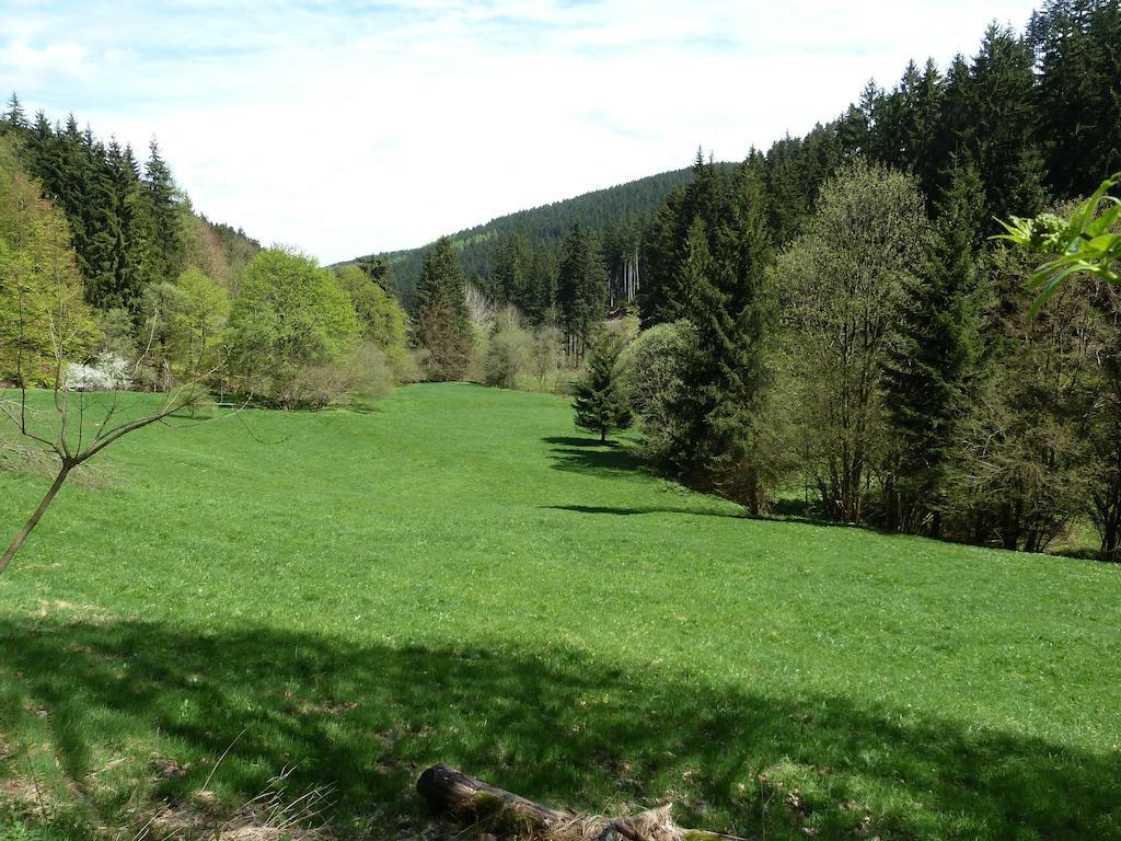 Bradsch