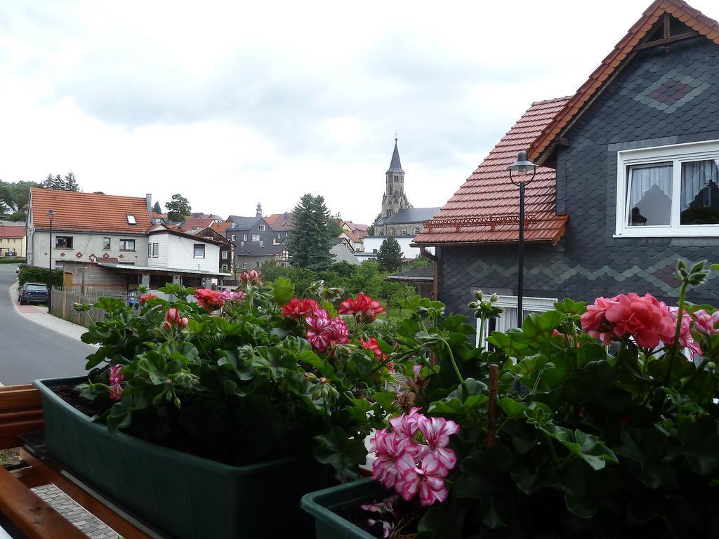 Apartment Bradsch *